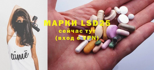 индика Горняк