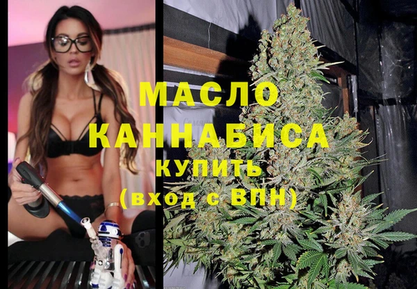 индика Горняк