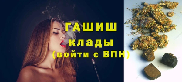 индика Горняк