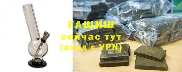 индика Горняк