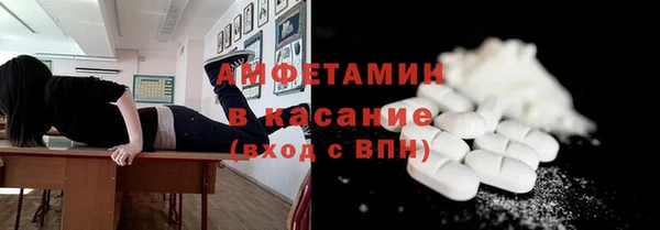 индика Горняк