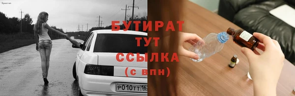 индика Горняк