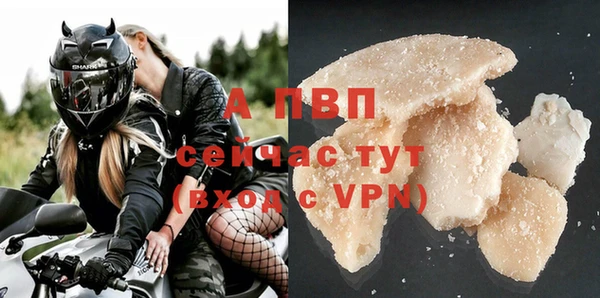 индика Горняк