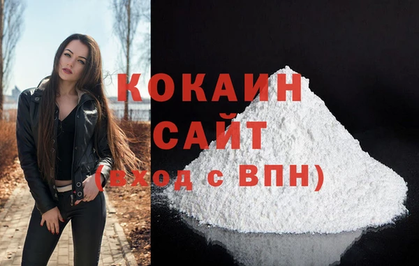 индика Горняк