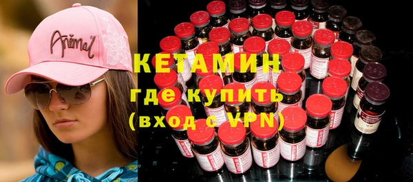 индика Горняк