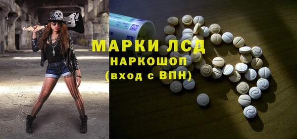 индика Горняк