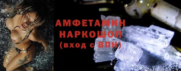 индика Горняк